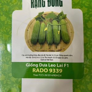 GÓI 1 GRAM - HẠT GIỐNG DƯA LEO LAI F1 RADO 9339 RẠNG ĐÔNG