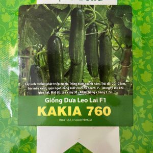 GÓI 1 GRAM - HẠT GIỐNG DƯA LEO LAI F1 KAKIA 760 RẠNG ĐÔNG