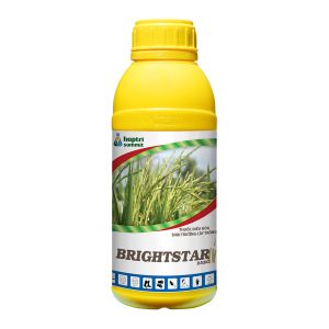 Brightstar 25SC HOPTRI 500 ML