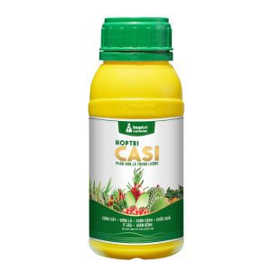 Hợp Trí Casi 500ML