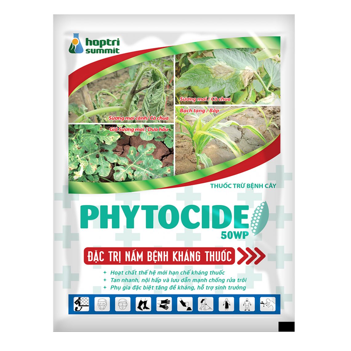 đặc trị nấm bệnh kháng thuốc, thuốc trị nấm bệnh, thuốc trừ nấm, thuốc bảo vệ thực vật, thuốc nấm phổ rộng, phòng trừ nấm bệnh, trị sương mai, bệnh sương mai cà chua, bệnh giả sương mai dưa hấu, trị giả sương mai, bệnh chết nhanh trên tiêu, trị chết nhanh hồ tiêu, vàng lá hồ tiêu, rụng lá hồ tiêu, thối đốt hồ tiêu, thối rễ hồ tiêu, bệnh bạch tạng trên bắp, trị bạch tạng bắp, bệnh sương mai vải thiều, trị sương mai vải, bệnh loét sọc mặt cạo cao su, trị loét sọc mặt cạo, thuốc trị bệnh cà chua, thuốc trị bệnh dưa hấu, thuốc trị bệnh hồ tiêu, thuốc trị bệnh bắp, thuốc trị bệnh vải thiều, thuốc trị bệnh cao su, phòng bệnh cây trồng, thuốc BVTV, vật tư nông nghiệp, Hạt Giống Miền Tây